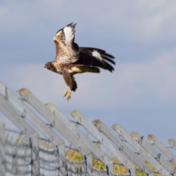 Politique environnementale et énergétique  