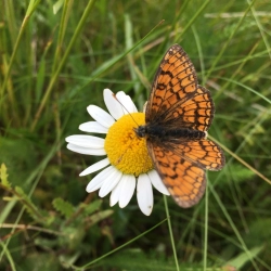 Politique environnementale et énergétique  